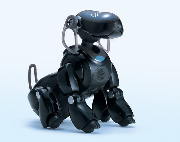 Discerning the Tail from the Dog